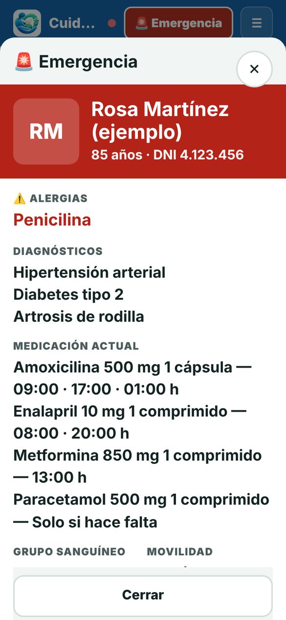 Emergencia: lo importante en grande